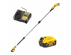 DeWALT DCMPP569P1