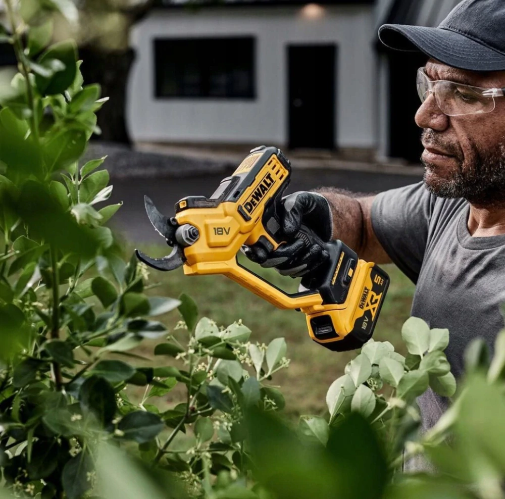 DeWALT DCMPP568N
